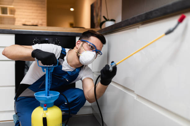 Best Pest Inspection Near Me  in Weatherby Lake, MO