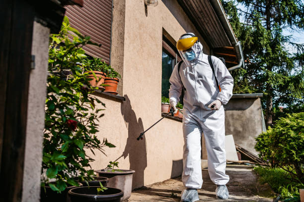 Best Best Pest Control Near Me  in Weatherby Lake, MO