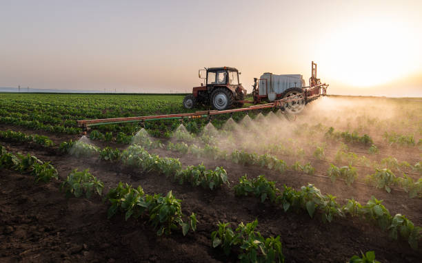 Best Pest Removal Services  in Weatherby Lake, MO