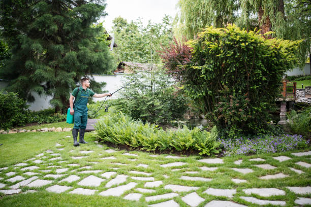 Best Best Pest Control Companies  in Weatherby Lake, MO
