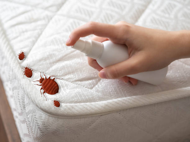 Best Affordable Pest Control Services  in Weatherby Lake, MO