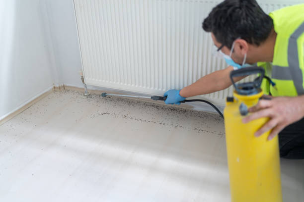 Best Pest Prevention Services  in Weatherby Lake, MO