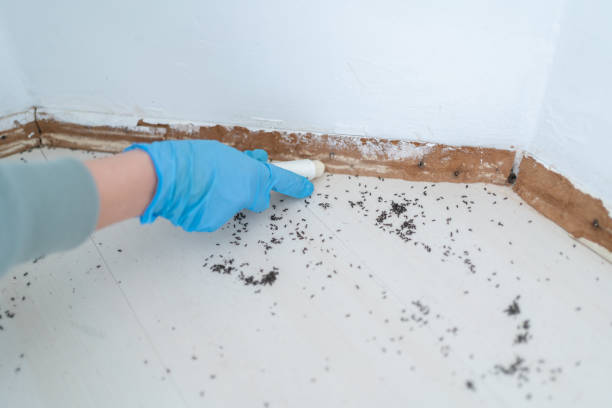 Best Pest Control Near Me in Weatherby Lake, MO