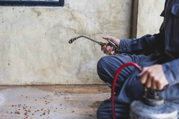 Best Local Pest Control Services  in Weatherby Lake, MO